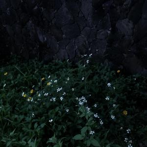 我想你就像对你说楼下烧烤店开门我闻到了烤鸡脖的气息我问你把这个当成歌名好不好