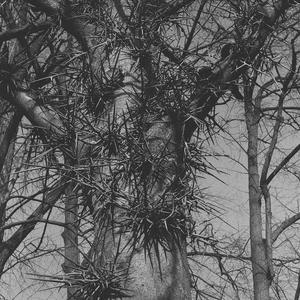 tt le temps peur <3 (0314 Remix)