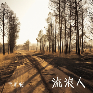 流浪人 (舞蹈版)