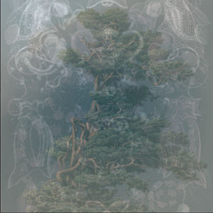 FF - Zen (Oringinal Mix)