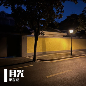 月光的呢喃