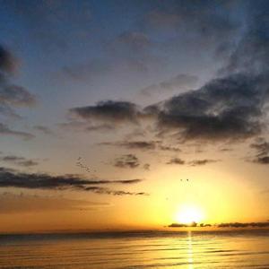 路过你的身边感受到你的爱