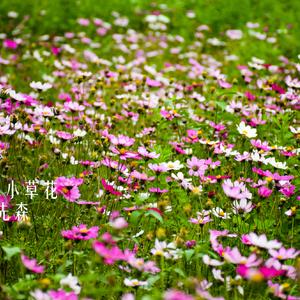 那些年我们歌声飞扬
