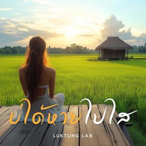 บ่ได้หายไปไส