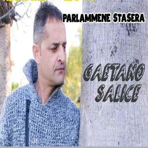 Parlammene stasera