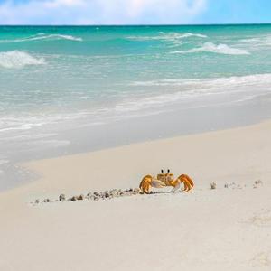 《再见，从前》