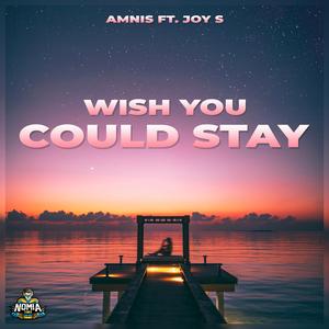 Wish You Could Stay