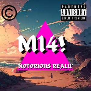 M14!