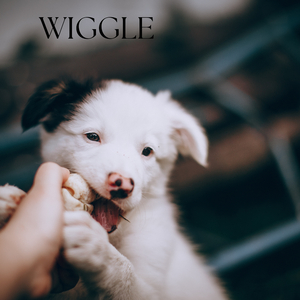 Wiggle
