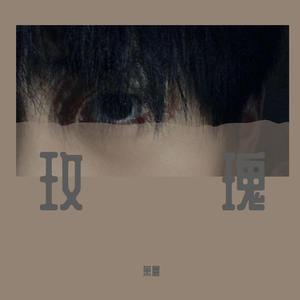 玫瑰（吉他前奏版）（翻自 贰佰）