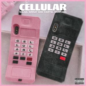 Cellular