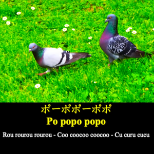 Po popo popo（试听版）