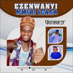 Ezenwanyi Mmiri Igara