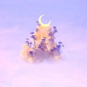 seeyouseeyoueverytime