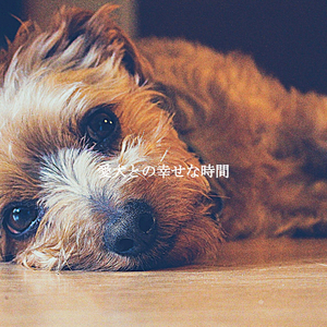 Contemporary New Year Styles