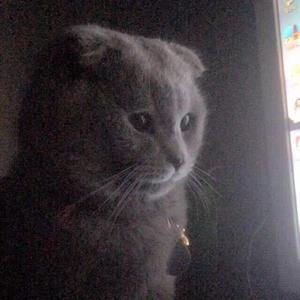 世界上的另一个我