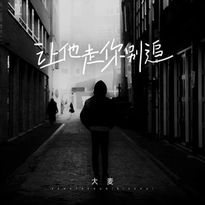 让他走你别追 (DJ浩然版伴奏)