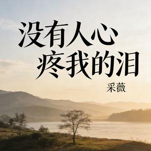 没有人心疼我的泪