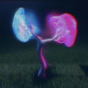 一些曾经梦到过的东西