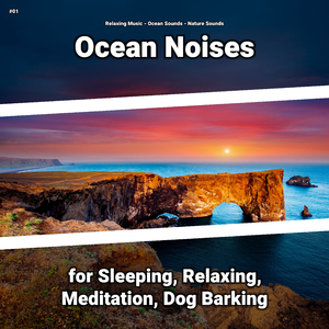 Ocean Sounds for Moms