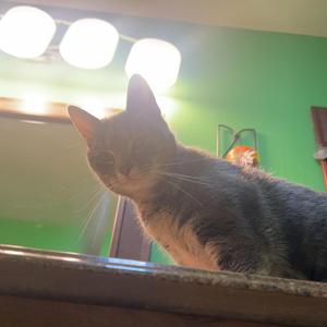 Sludge thing with China