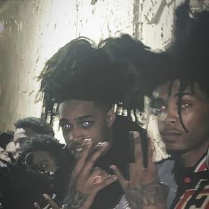 Rental Cars Freestyle