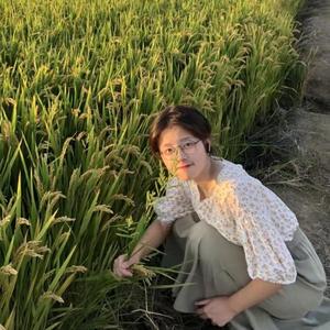 他和她的蔷薇花丛