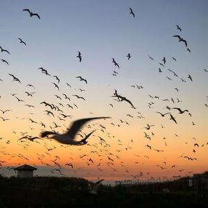 个人简介Pt.1（翻自 安全着陆）