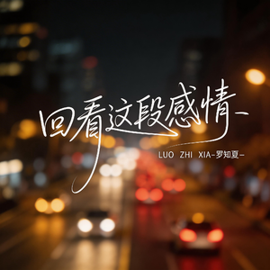 回看这段感情(抒情版）