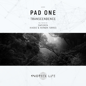 Transcendence (Xiasou & Hernán Torres Remix)