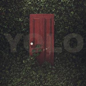 YOLO