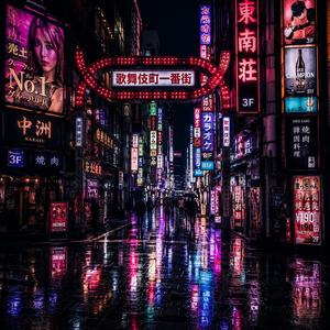 Kabukicho Neon Nights