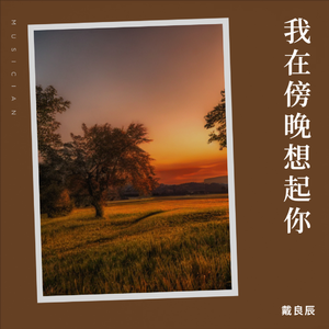 我在傍晚想起你