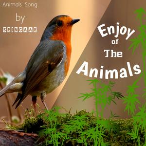 Enjoy Of The Animals