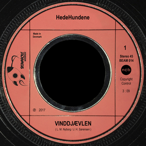 Vinddjævle Surf