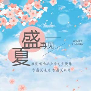 再见盛夏
