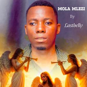 Mola mlezi