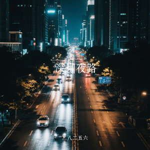 深圳夜路