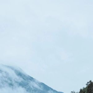 嘴硬时的不坚定