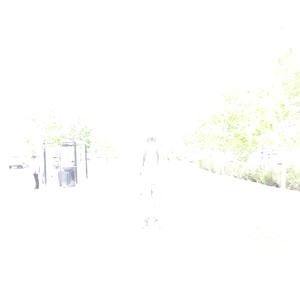Tripanga