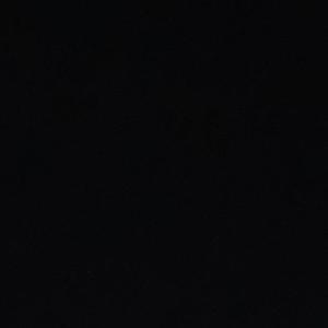 和你待在一起(Prod by Pineappie)