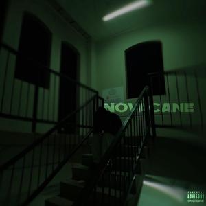 Novacane