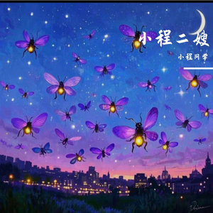 星空下的守望与思念