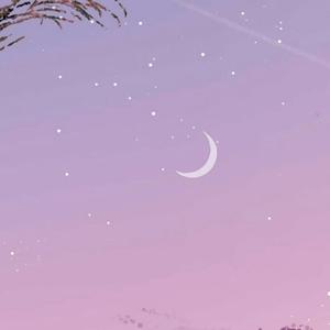 我们一起数星星