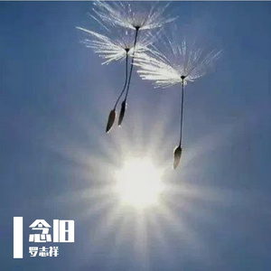 见好就收（伴奏）