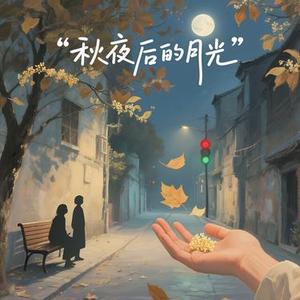 秋夜后的月光