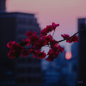 Flower.far