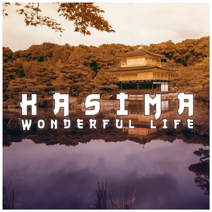 Wonderful Life (Extended Mix)