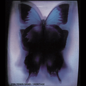 I Hate You I Love You