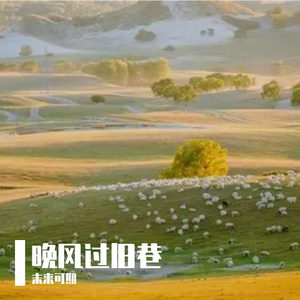 晚风过旧巷